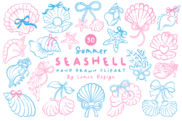 Download Summer Seashell PNG Line Art Bundle - Seashell Collection