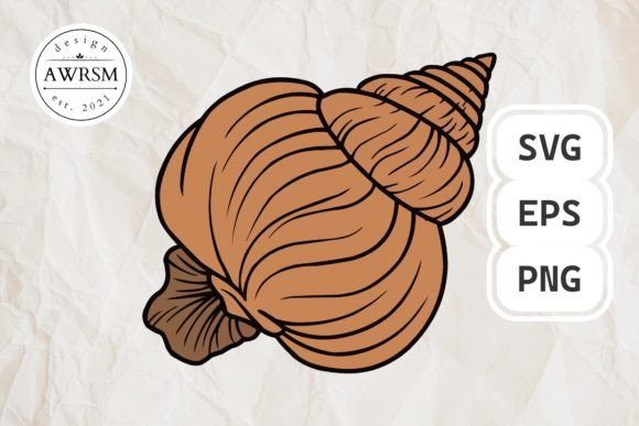 Download Clamshell SVG Vector, Seashell Clipart - Seashell Collection