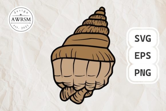 Download Clamshell SVG Vector, Seashell Clipart - Seashell Collection