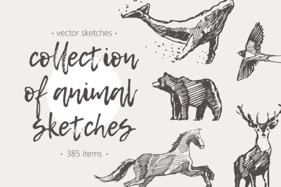 Download Huge Collection of Animal Sketches - Sketch Collection
