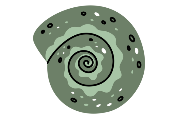 Download Green Tropical Spiral Seashell. Mollusk - Seashell Collection