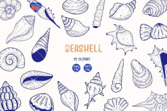 Download Seashell Clipart , 22 Blue Line Art - Seashell Collection