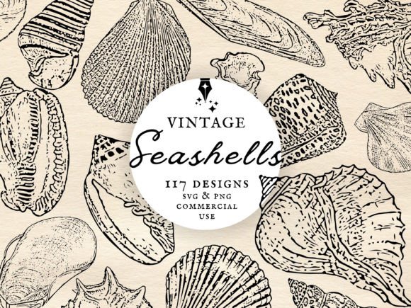 Download Vintage Seashell Clipart Set PNG &amp; SVG - Seashell Collection