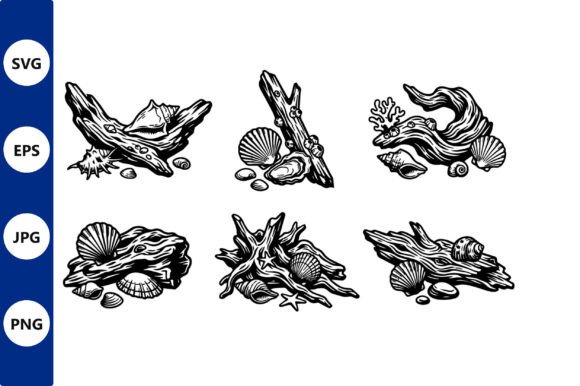 Download Driftwood Seashell Line Art - Seashell Collection