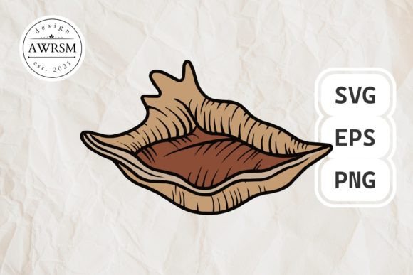 Download Clamshell SVG Vector, Seashell Clipart - Seashell Collection