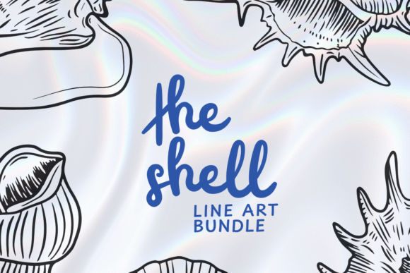 Download Seashell Clip Art Bundle - Seashell Collection