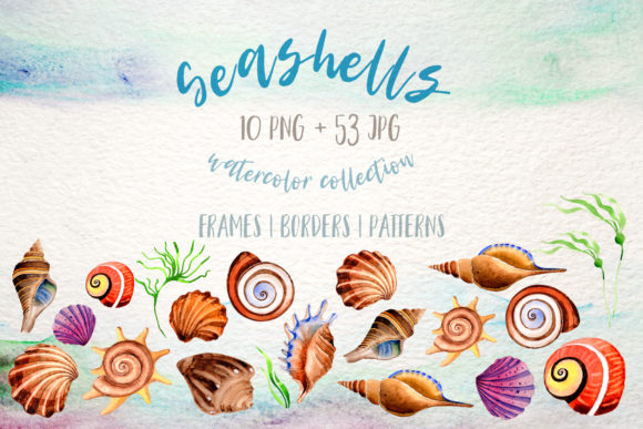 Download Watercolor Summer Beach Seashell Set - Seashell Collection