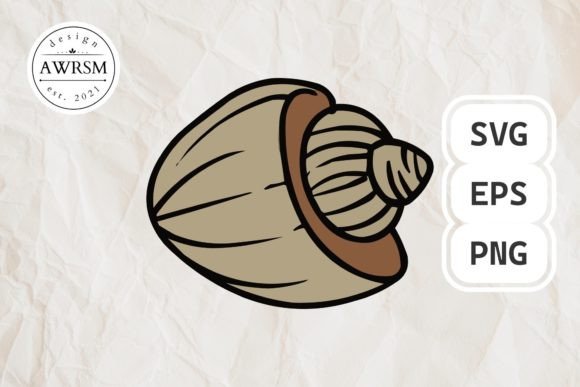 Download Clamshell SVG Vector, Seashell Clipart - Seashell Collection