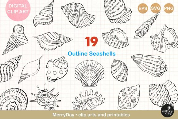 Download 19 Seashell Line Art Drawings. - Seashell Collection