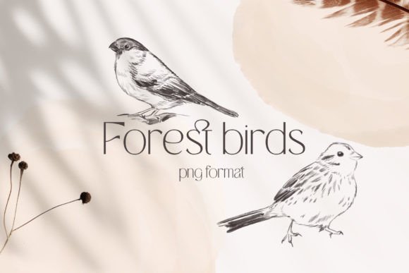 Download Forest Birds Sketches Collection - Sketch Collection