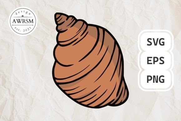 Download Clamshell SVG, Seashell Clipart Vector - Seashell Collection