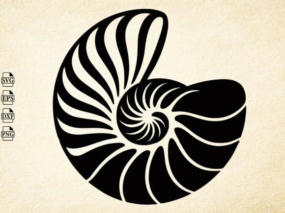Download Seashell Svg, Shell Clipart Svg,Seashell - Seashell Collection