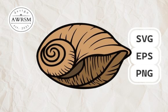 Download Clamshell SVG Vector, Seashell Clipart - Seashell Collection