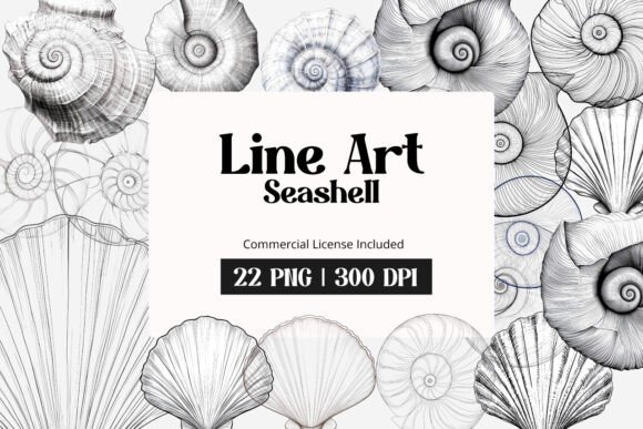 Download Line Art Seashell Clipart - Seashell Collection