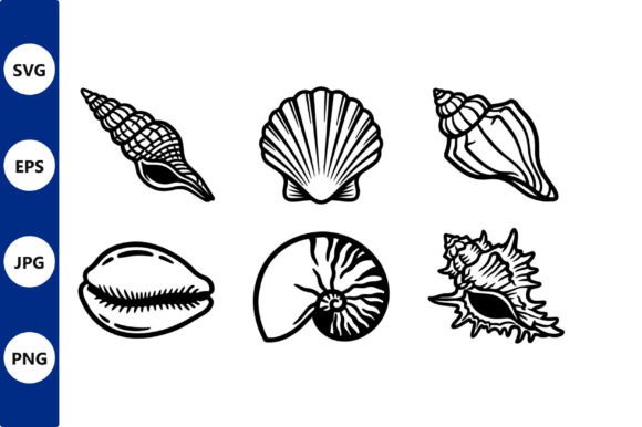 Download Seashell Line Art Vector Set - Seashell Collection