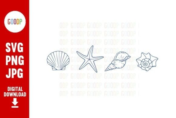 Download Coastal Seashell Line Art PNG - Seashell Collection