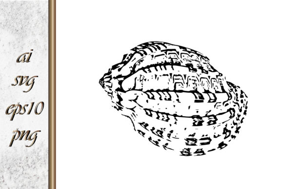 Download Doodle Shellfish Hand Drawn Sketch Vecto - Sketch Collection
