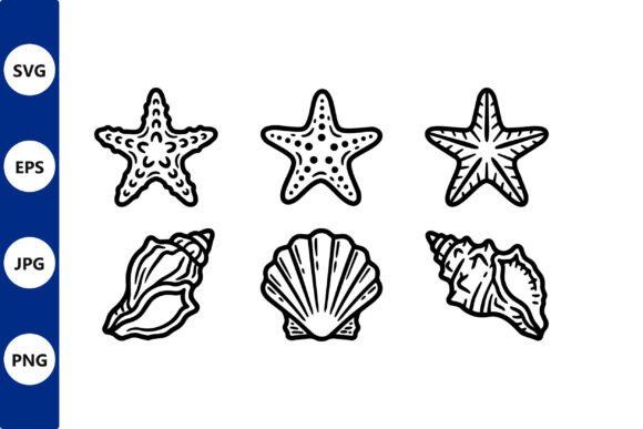 Download Starfish and Seashell Line Art Vector - Seashell Collection