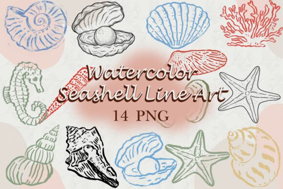 Download Watercolor Seashell Line Art PNG - Seashell Collection