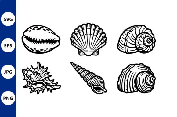 Download Seashells Line Art in Vector Style - Seashell Collection