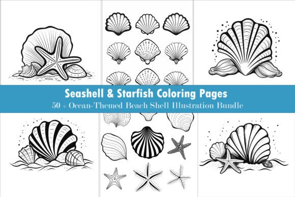 Download 50+ Beach Seashell Illustration Pack - Seashell Collection