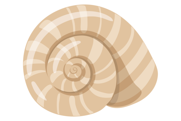Download Ocean Seashell Icon. Aquatic Shell Swirl - Seashell Collection
