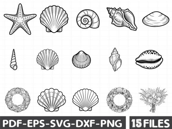Download Coastal Seashell Svg Line Art - Seashell Collection