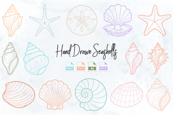 Download Hand Drawn Seashell Clipart PNG SVG - Seashell Collection