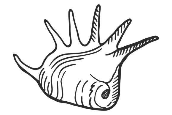 Download Seashell Icon. Hand Drawn Mollusk Shell - Seashell Collection