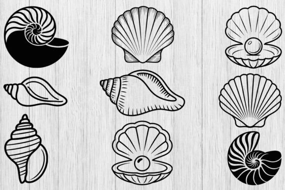 Download Seashell Svg Bundle, Shell Clipart Svg - Seashell Collection