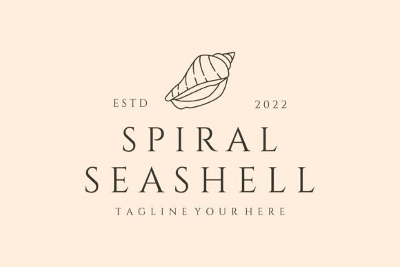 Download Spiral Seashell Line Art Logo Vector - Seashell Collection