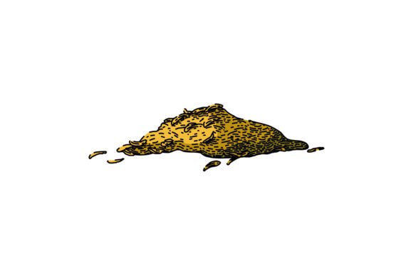 Download Organic Thyme Leaf Sketch Hand Drawn Vec - Sketch Collection