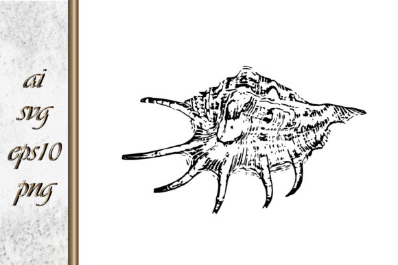 Download Doodle Shellfish Hand Drawn Sketch Vecto - Sketch Collection