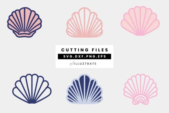 Download SeaShell SVG Cut File | Shell Cutting Fi - Seashell Collection